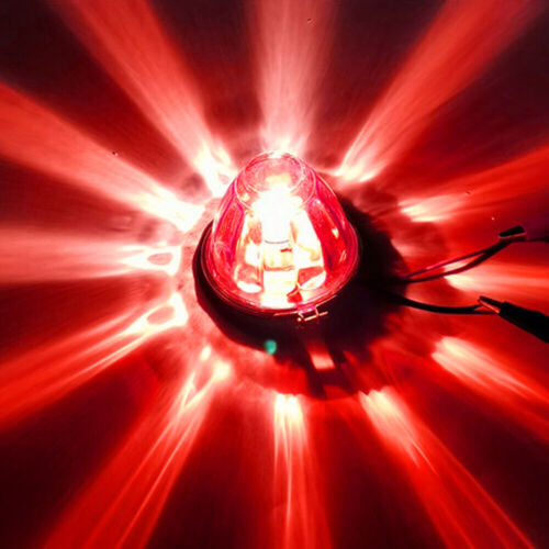 Watermelon LED Bulbs Light Clear Glass Lens Lights Kit 1156 1 Wire Incandescent - Picture 19 of 22