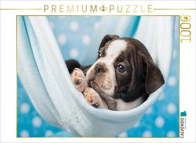 CALVENDO Puzzle Colored Boston Terrier Blue/White | 1000 Teile Lege-Größe 64x48c