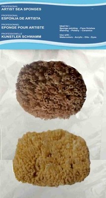 Natürliche Meeresschwämme für Künstler und Profis   2erPackung   Größen 10   ...