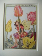 Vintage Flower Fairies Print & Mount The Tulip Fairy Cicely Mary Barker c1930s