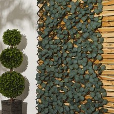 Expandable Artificial Eucalyptus Trellis Instant & Realistic Screen 90 x 180 Cm