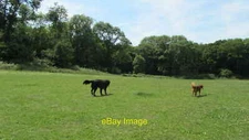 Photo 6x4 Toplands dog exercise field, Manor Farm country park Hedge End  c2015
