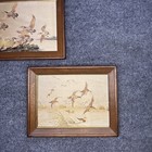Picture 3 of 19