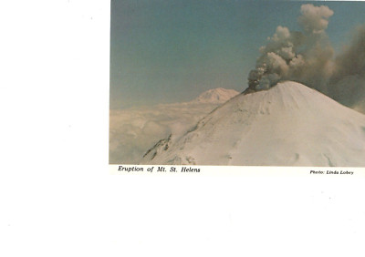 Eruption of Mt. St. Helens, WA,  a Few Days After, 1980 Postcard
