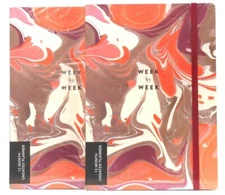 2 Count Galison Week By Week 13 Month Undated Planner