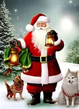 Diamond Painting Kit Fox Santa Size 30 X 40 cm