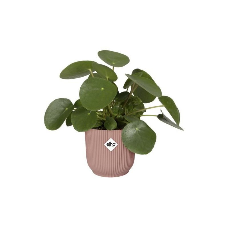 Pot de fleurs rond intérieur rose ELHO Vibes Fold cache-pot design 35cm - 3