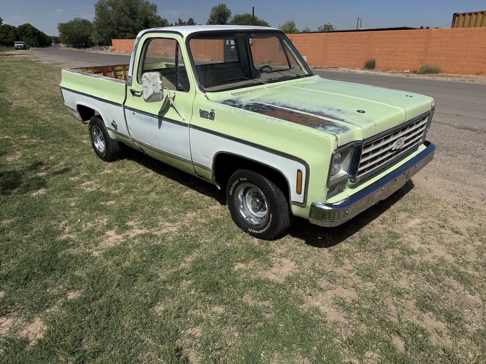 1976 Chevrolet C10 for sale in Fabens Texas