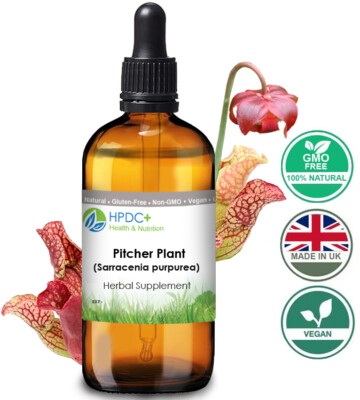 Bio Kannenpflanze / Sarracenia purpurea Extrakt Immununterstützung