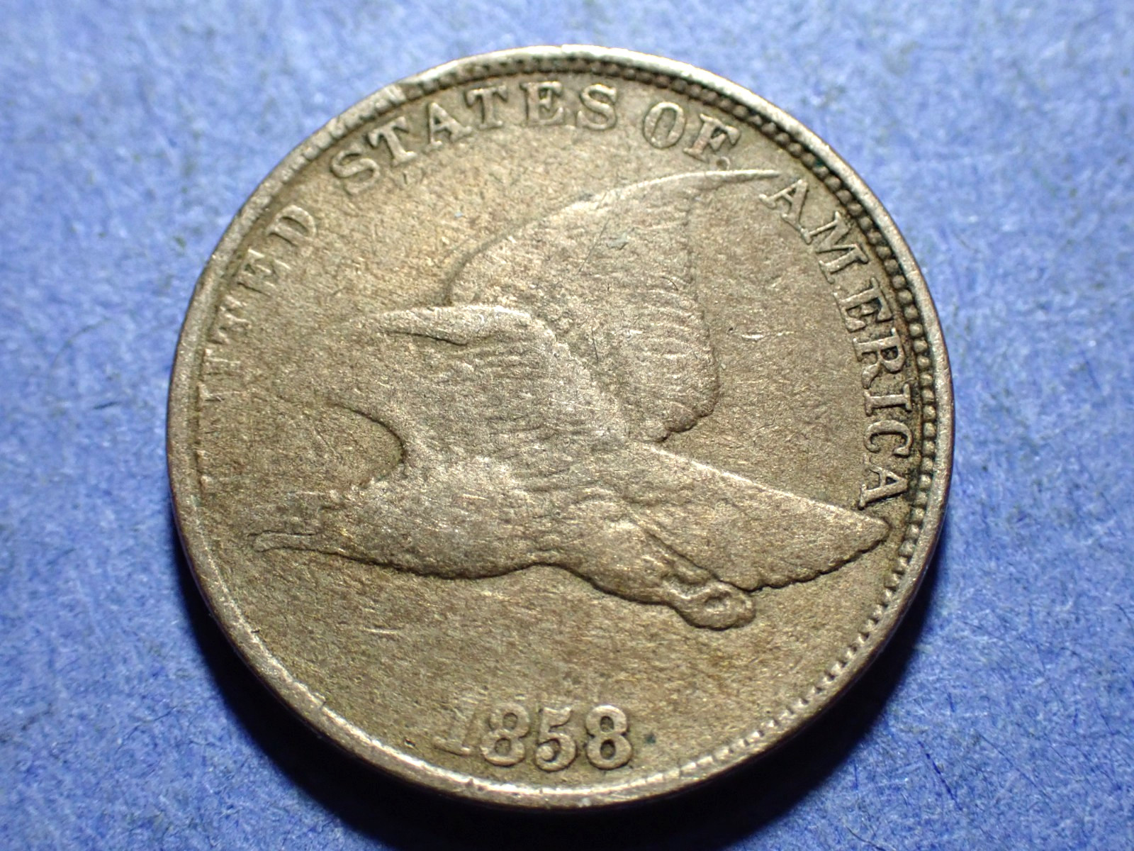 Picture 1