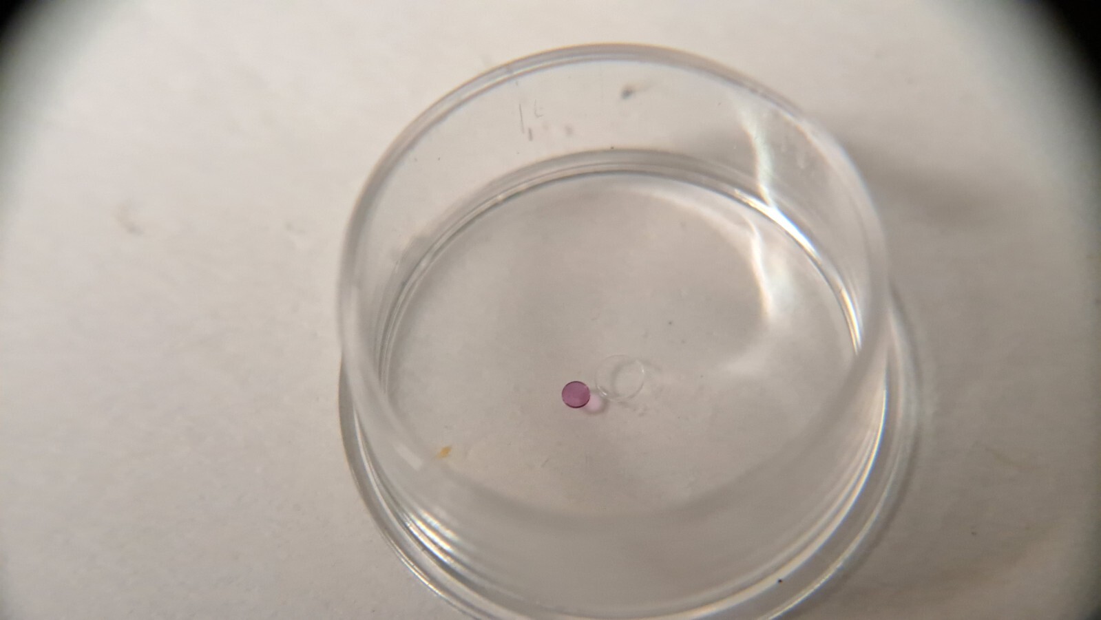 Rolex 2230 4493 balance cap jewel upper & lower. Sealed package will be