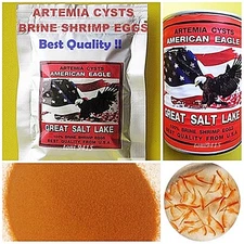 Brine Shrimp Egg 90% Hatch Artemia Cysts American Eagle USA PREMIUM Quality