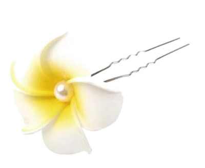 Bild Haar Haarknoten Blume Frangipane Frangipani Weiß Tropics Hawaii 5cm