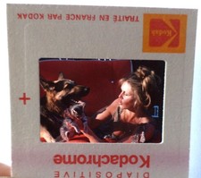 Diapositive d'agence (Slide) Brigitte BARDOT et un chien à La Madrague DIAPO