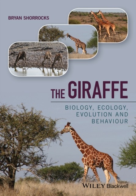 The Giraffe by Bryan Shorrocks (Hardback Book)