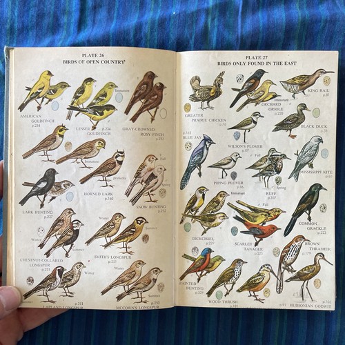 Complete Field Guide To American Wildlife Birds Reptiles Fish Mammals (1959 VTG) - Picture 6 of 13