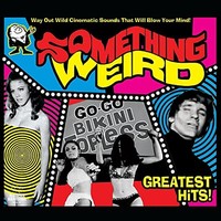 Greatest Hits - Vinyl Record - F600Z