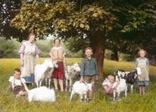 Peasant family on the grazing land with some goats Austria 1922 OLD PHOTO