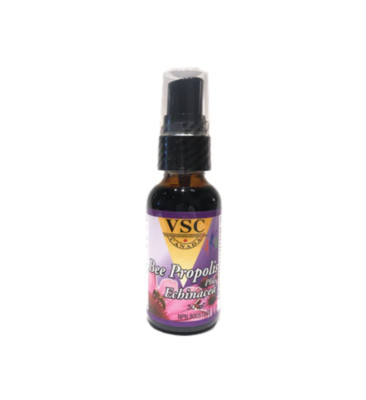 VSC Bee Propolis Plus Echinacea Spray Colds Flus Kill Bacteria 1 fl. oz NEW