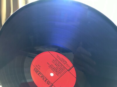 AVENGERS LP RARE ORIG VINYL KBD SF PUNK '77 1983 TRANS PURPLE