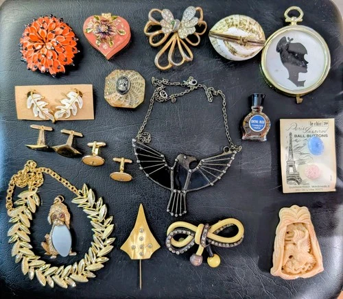 Antique Vintage Jewelry Lot Celluloid Pins Soldered Bird Necklace Shell Purse