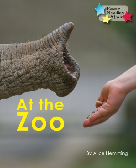 At the Zoo by Hemming Alice (Paperback Book)