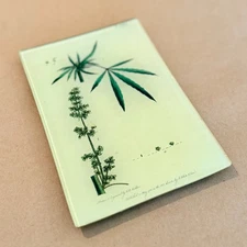 John Derian Botanical Decoupage Glass Tray PL.XXXII Handmade USA Signed