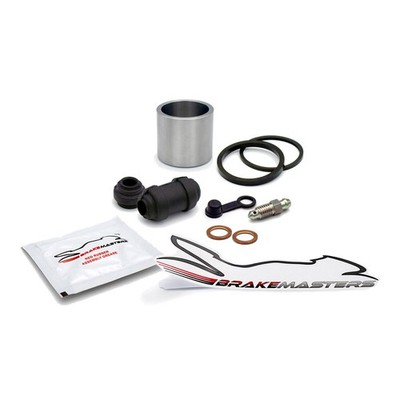 Honda FES250 Foresight 2001 Hinterer Bremssattel Kolben Dichtung Wartung