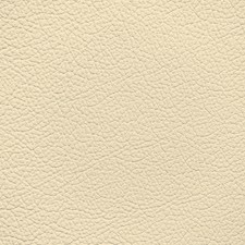 BMW Champagne Leather Dye