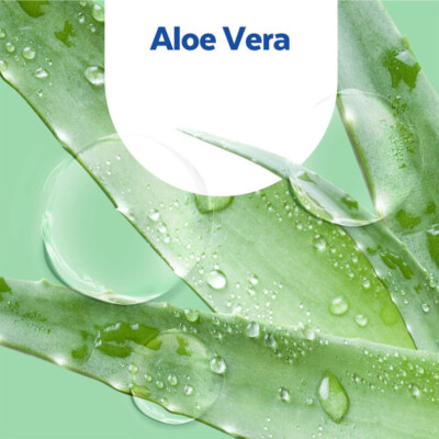 Sagrotan Handseife Aloe Vera Nachfllbeutel 5 X 500ml online kaufen |  eBay.de