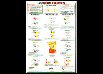 Abdominal Chart