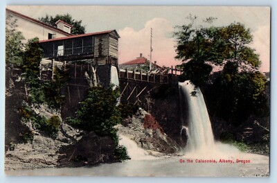 Albany Oregon Postcard Calapooia Falls River Lake c1910 Vintage Antique Unposted
