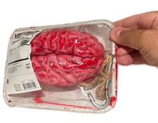 FAKE BLOODY BRAIN Plastic Halloween Butcher Tray Body Part Zombie Prop Hook Meat