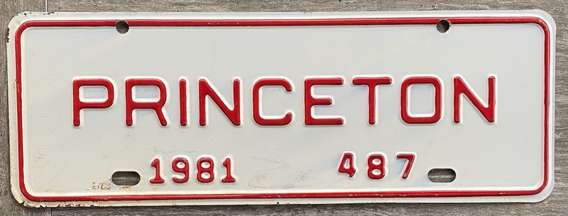 NOS 1981 Princeton, North Carolina  Town Tag Topper License Plate  / #487
