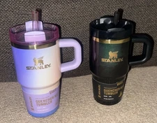 STANLEY TARGET X  WICKED FOR GOOD 20 OZ ELPHABA AND GLINDA TUMBLER QUENCHER