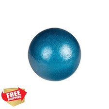 Champro Cast Iron Shot Put