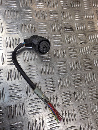 Gearbox wiring loom