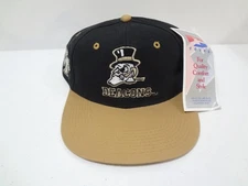 Vintage NCAA Wake Forest Demon Deacons LOGO Snapback Cap Hat 90s Covee NEW NWT