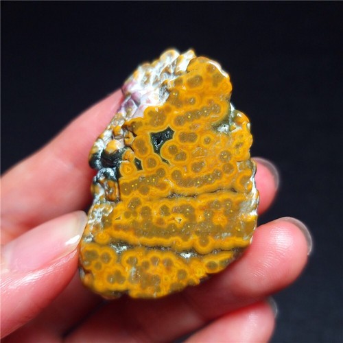 Rare 19G Natural Orbicular Ocean Jasper Rough Stone Healing Madagascar QC418 - Picture 7 of 13