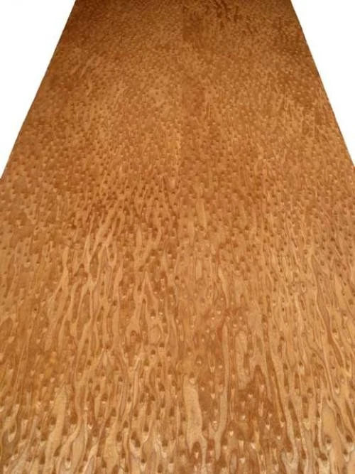 Ojos de Pájaro Chapa de Madera Gemuschelt SaRaiFo Braun 250x32cm