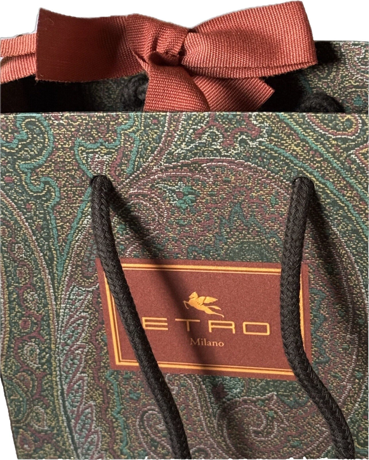 ETRO Paisley Scarves & Wraps Multicolor for Women