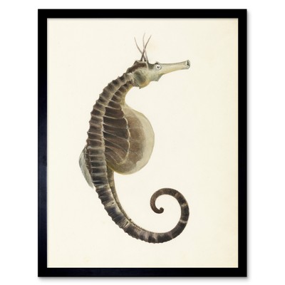 Gould Seepferdchen Buch Fisch Illustration Wandkunstdruck gerahmt 12x16