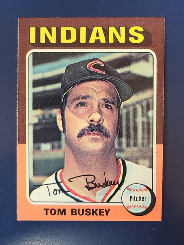 Tarjetas de béisbol Topps 1975 completan tu conjunto que elijas elegir cada una #221 - 440 - Imagen 230 de 277