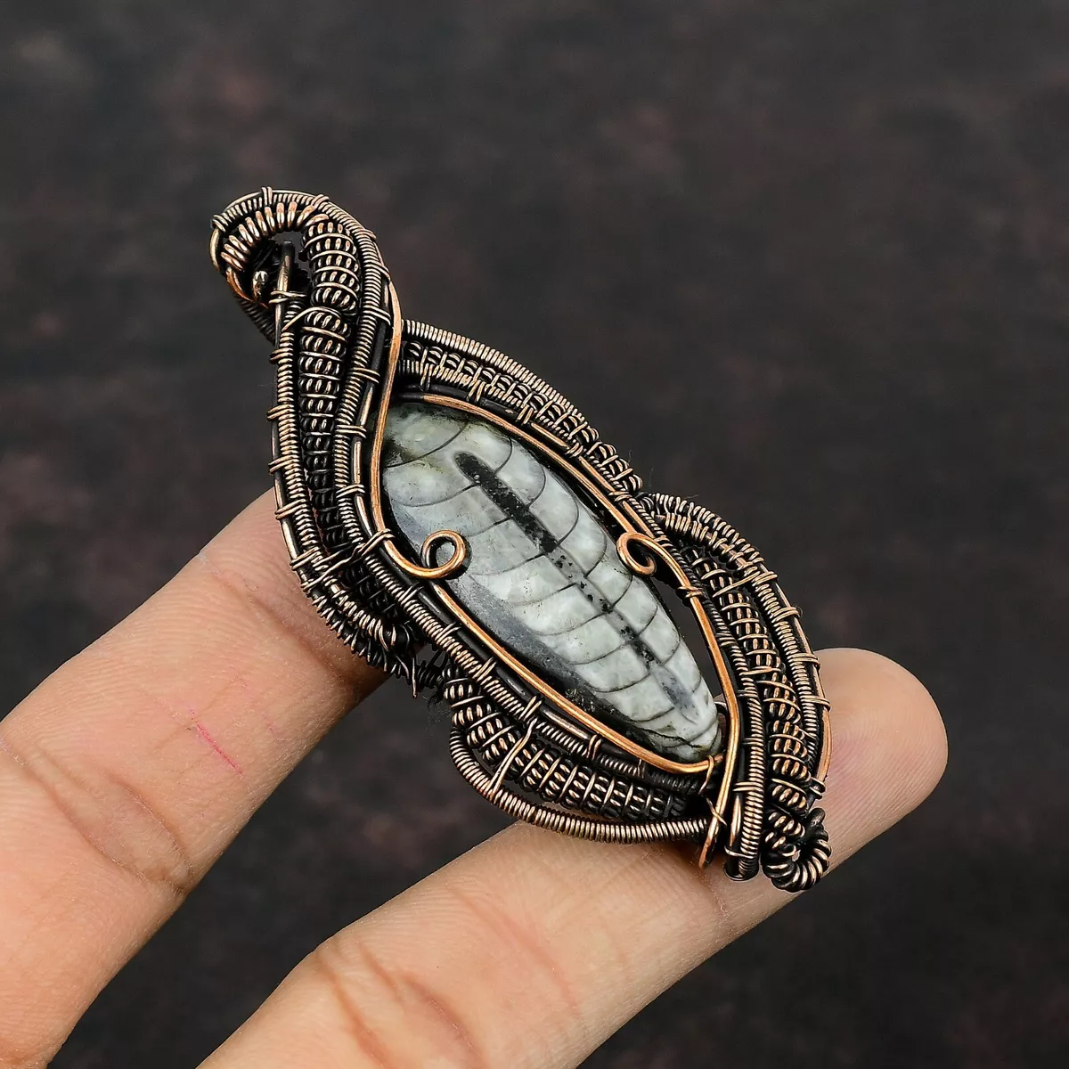 Orthoceras pendant deals