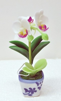 US Stock 4''H Handmade Clay Dark White Mini Phalaenopsis Orchid Arranged-Potted