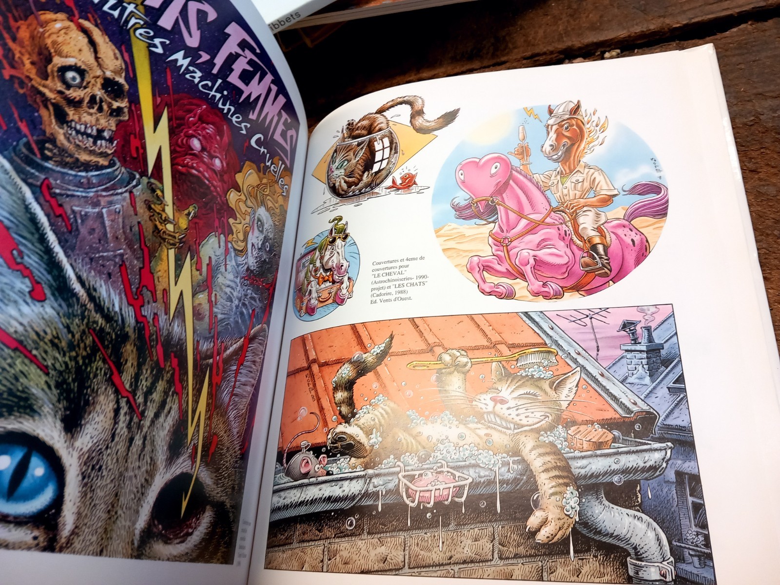 Animaleries Et Compagnie Jean Solé