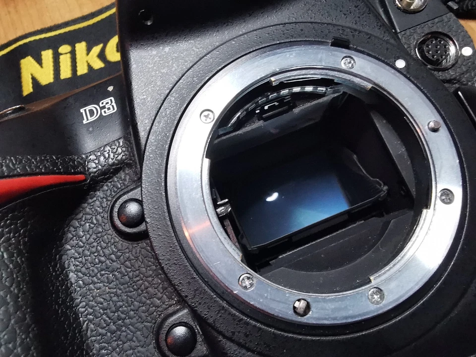 Nikon D3, photo 2 of 5