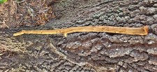 wooden hand made walking stick