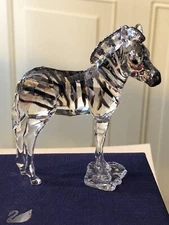 New Swarovski Crystal 5557906 SCS 2021 Zuri Baby Zebra In Box With Certificate