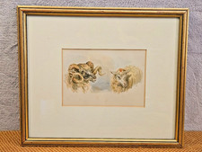 Vintage Framed Original Watercolour Painting of Sheep & Ram ~ 34cm x 28cm